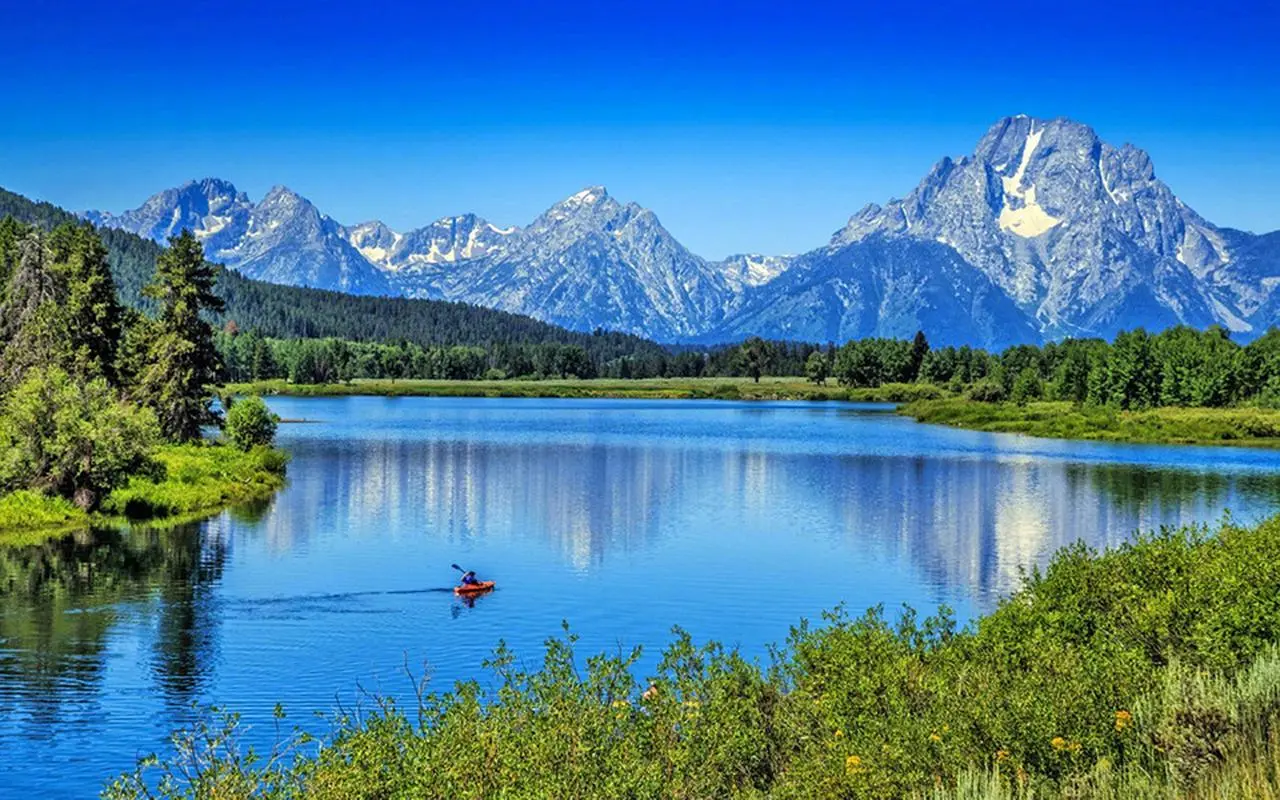 高端先进独特